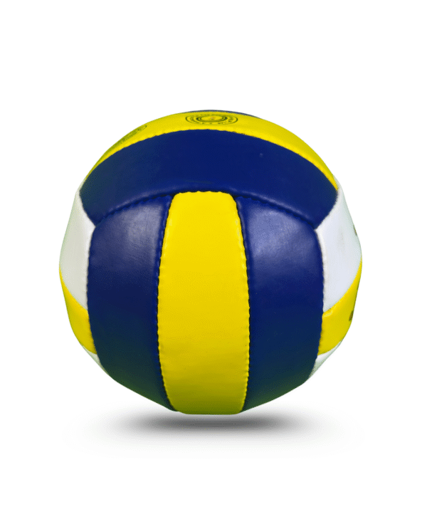 volleyball smash size 5